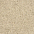 Soft Whisper Honey Dew Carpet - Honey Dew / 2.5m