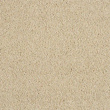 Soft Whisper Honey Dew Carpet - Honey Dew / 2.5m