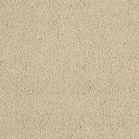 Soft Whisper Honey Dew Carpet - Honey Dew / 2.5m