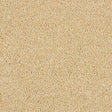 Soft Whisper Soft Sandstone Carpet - Soft Sandstone / 2.5m