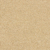 Soft Whisper Soft Sandstone Carpet - Soft Sandstone / 2.5m