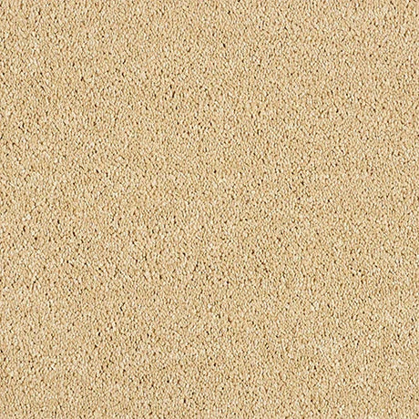 Soft Whisper Soft Sandstone Carpet - Soft Sandstone / 2.5m