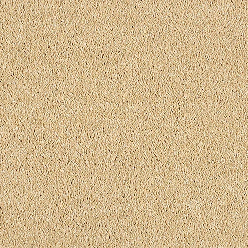 Soft Whisper Soft Sandstone Carpet - Soft Sandstone / 2.5m