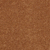 Soft Whisper Autumn Flame Carpet - Autumn Flame / 2.5m