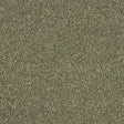 Soft Whisper Oasis Carpet - Oasis / 2.5m