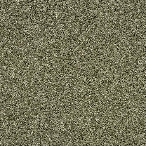 Soft Whisper Oasis Carpet - Oasis / 2.5m