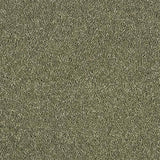 Soft Whisper Oasis Carpet - Oasis / 2.5m