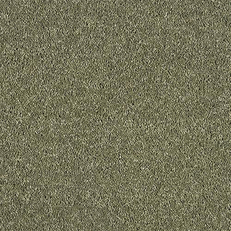 Soft Whisper Oasis Carpet - Oasis / 2.5m