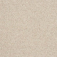 Hidden Depths Chiffon Carpet - Chiffon / 2.5m