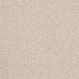 Hidden Depths Chiffon Carpet - Chiffon / 2.5m