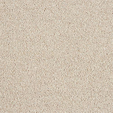 Hidden Depths Chiffon Carpet - Chiffon / 2.5m