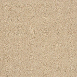 Hidden Depths Caramel Cream Carpet - Caramel Cream / 2.5m