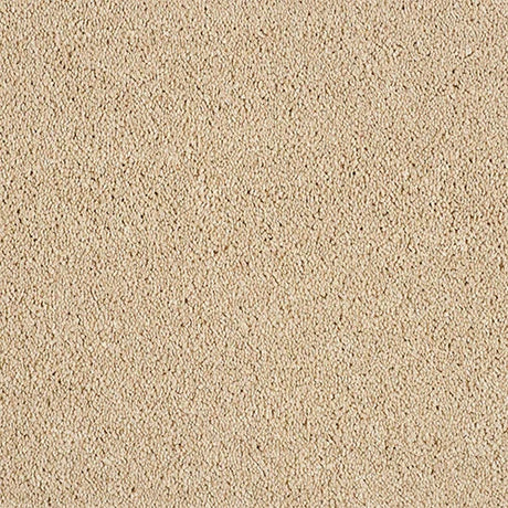 Hidden Depths Caramel Cream Carpet - Caramel Cream / 2.5m