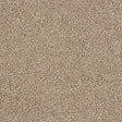 Hidden Depths Tapestry Carpet - Tapestry / 2.5m