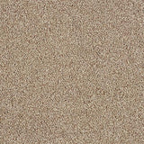 Hidden Depths Tapestry Carpet - Tapestry / 2.5m
