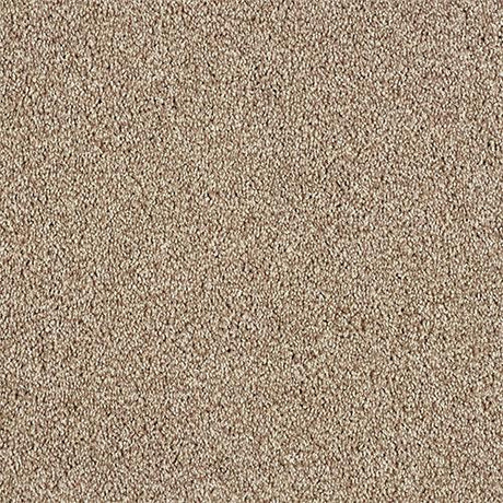 Hidden Depths Tapestry Carpet - Tapestry / 2.5m