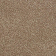 Hidden Depths Velvet Taupe Carpet - Velvet Taupe / 2.5m