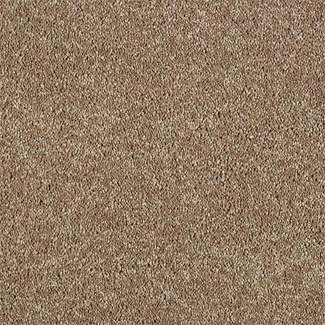 Hidden Depths Velvet Taupe Carpet - Velvet Taupe / 2.5m