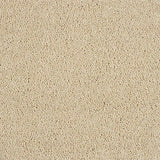 Hidden Depths Honey Dew Carpet - Honey Dew / 2.5m