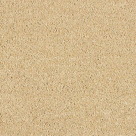 Hidden Depths Soft Sandstone Carpet - Soft Sandstone / 2.5m