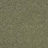 Hidden Depths Oasis Carpet - Oasis / 2.5m