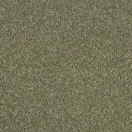 Hidden Depths Oasis Carpet - Oasis / 2.5m
