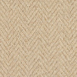 Royal Sterling Pine Carpet - Pine / 2.5m