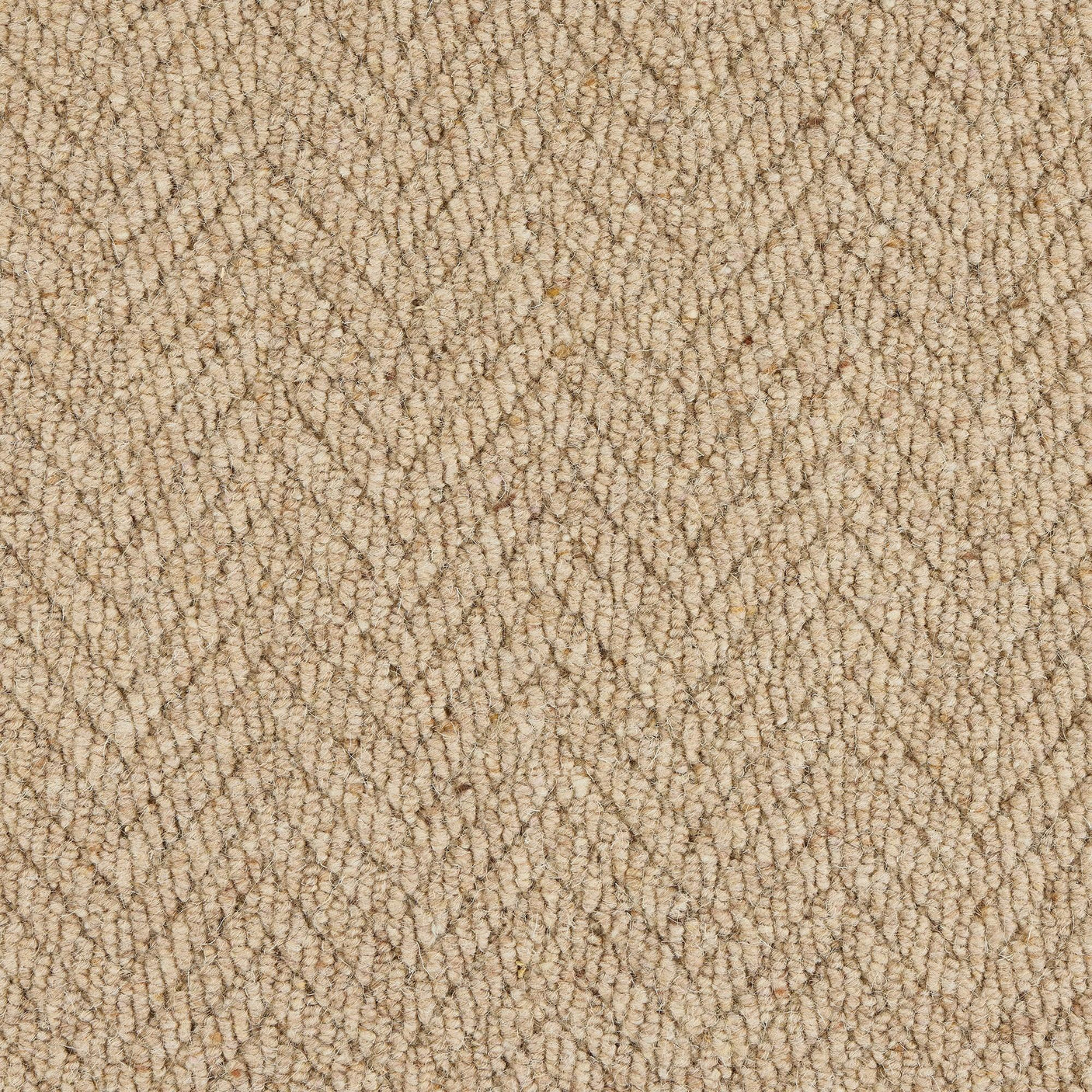Royal Sterling Biscotti Carpet - Biscotti / 2.5m