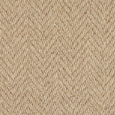 Royal Sterling Biscotti Carpet - Biscotti / 2.5m
