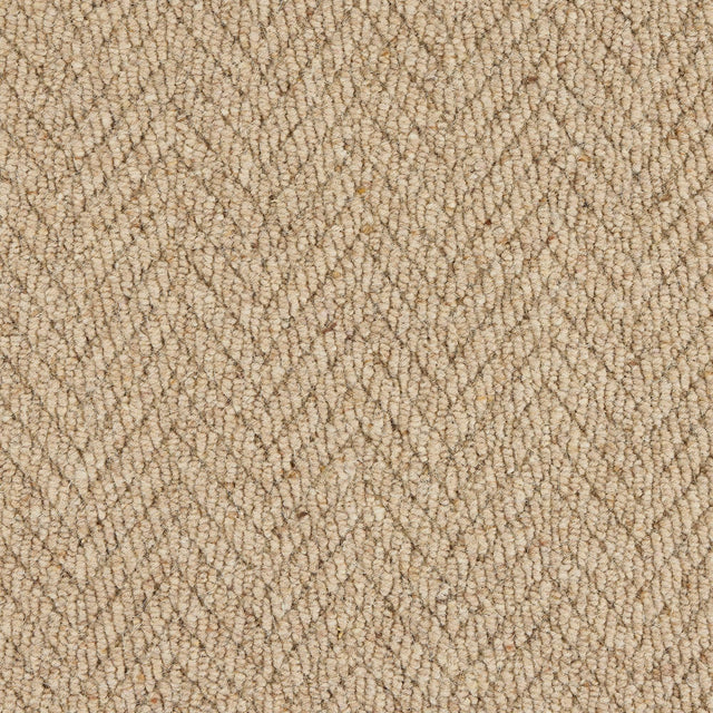 Royal Sterling Biscotti Carpet - Biscotti / 2.5m