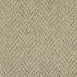 Royal Sterling Husky Grey Carpet - Husky Grey / 2.5m