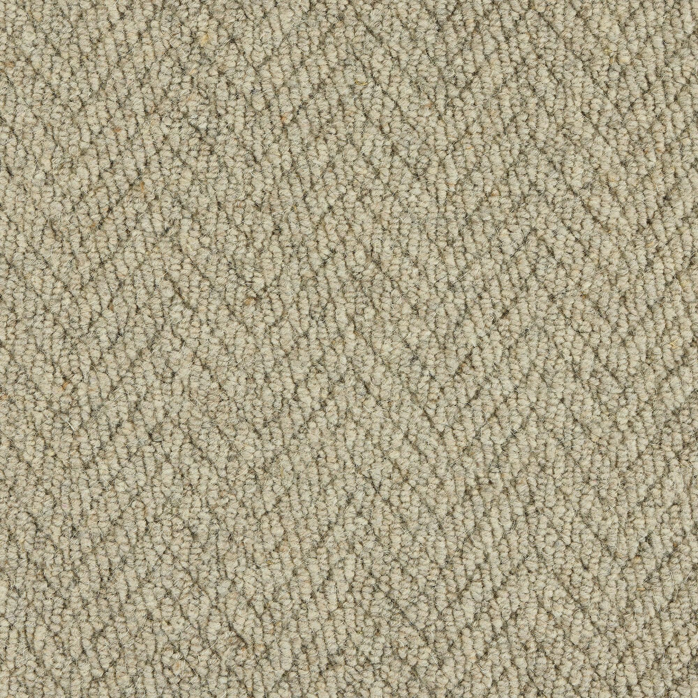 Royal Sterling Husky Grey Carpet - Husky Grey / 2.5m