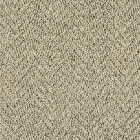 Royal Sterling Husky Grey Carpet - Husky Grey / 2.5m