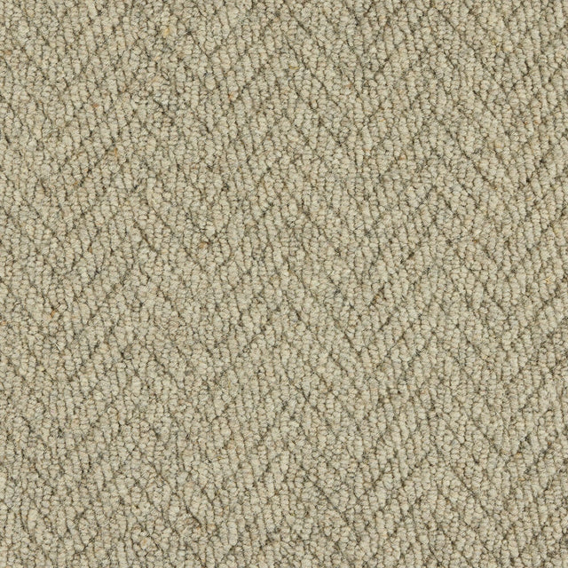 Royal Sterling Husky Grey Carpet - Husky Grey / 2.5m
