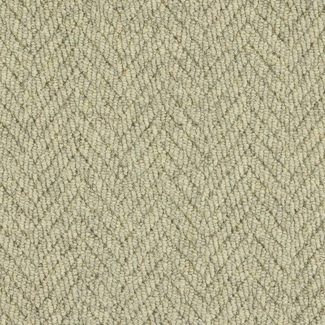 Royal Sterling Bone Carpet - Bone / 2.5m