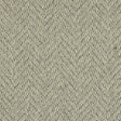 Royal Sterling Squirrel Carpet - Squirrel / 2.5m