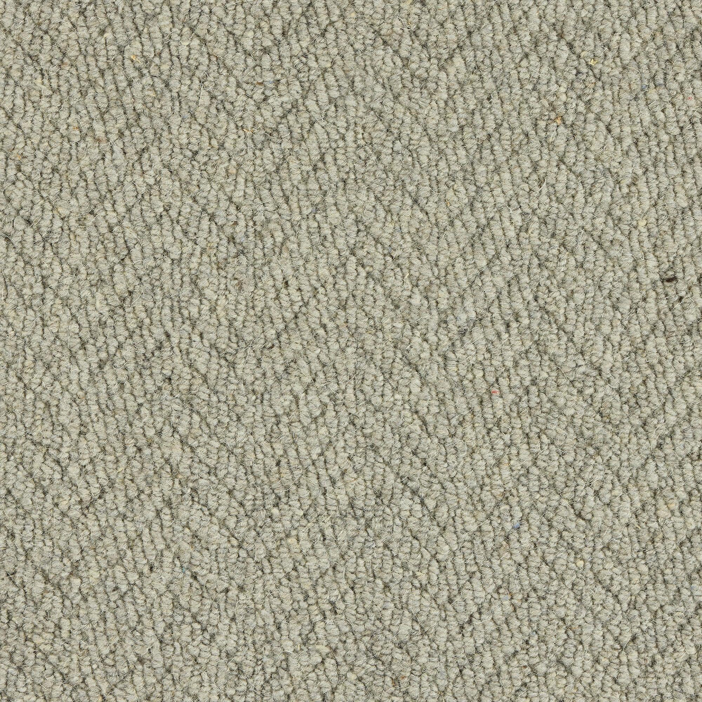 Royal Sterling Squirrel Carpet - Squirrel / 2.5m