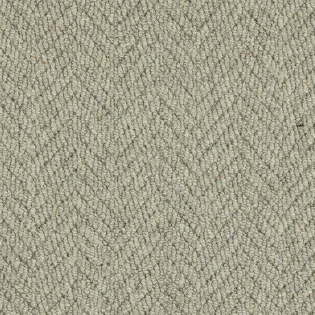 Royal Sterling Squirrel Carpet - Squirrel / 2.5m