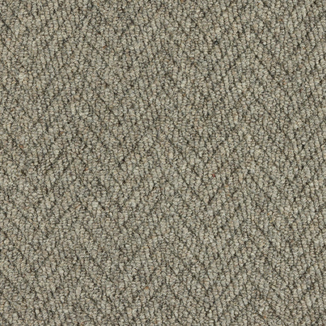 Royal Sterling Sabre Carpet - Sabre / 2.5m