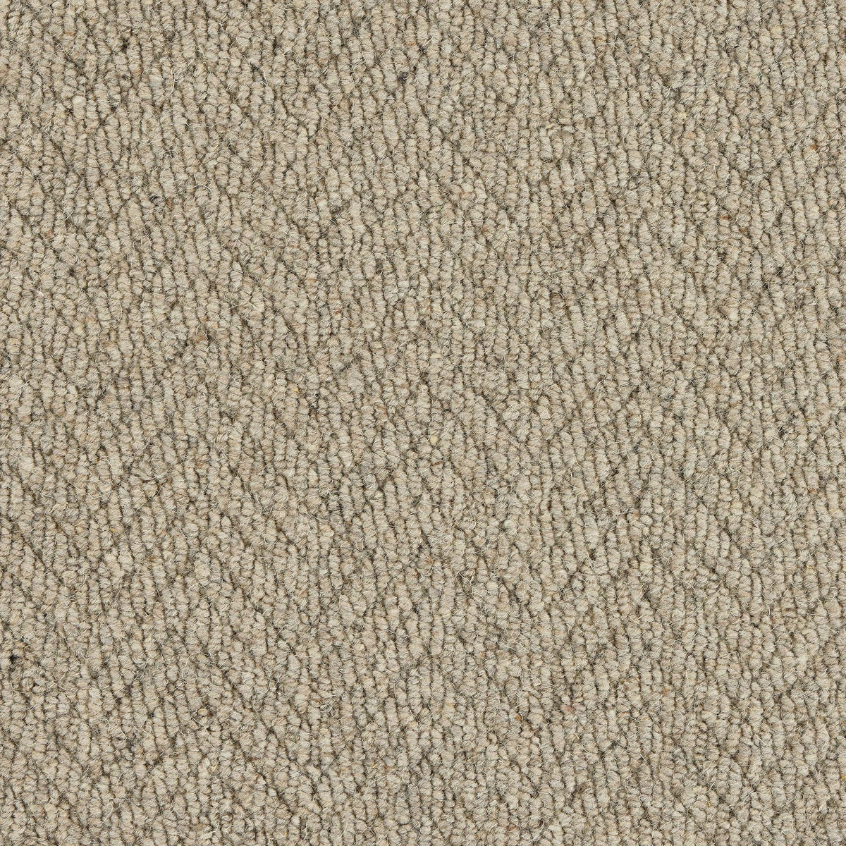 Royal Sterling Smoke Carpet - Smoke / 2.5m