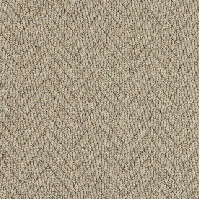 Royal Sterling Smoke Carpet - Smoke / 2.5m