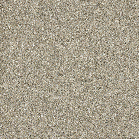 Knightsbridge Berber Pale Fawn Carpet - Pale Fawn / 2.5m