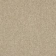 Knightsbridge Berber Creamed Ash Carpet - Creamed Ash / 2.5m