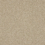 Knightsbridge Berber Creamed Ash Carpet - Creamed Ash / 2.5m