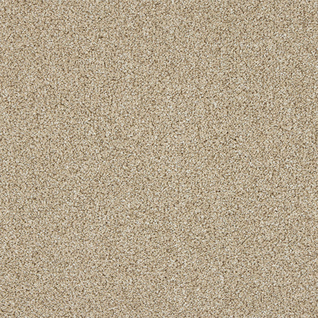Knightsbridge Berber Creamed Ash Carpet - Creamed Ash / 2.5m