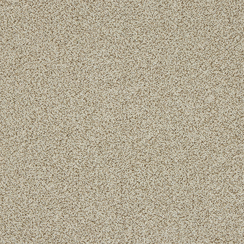 Knightsbridge Berber Toasted Oat Carpet - Toasted Oat / 2.5m