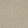 Knightsbridge Berber Toasted Oat Carpet - Toasted Oat / 2.5m