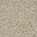Knightsbridge Berber Toasted Oat Carpet - Toasted Oat / 2.5m