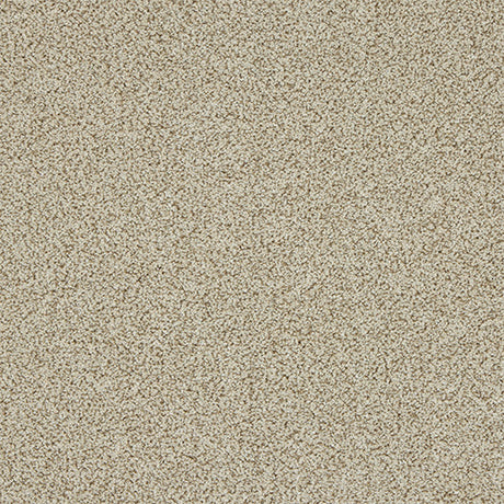 Knightsbridge Berber Toasted Oat Carpet - Toasted Oat / 2.5m