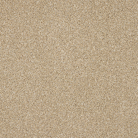 Knightsbridge Berber Wheat Mist Carpet - Wheat Mist / 2.5m